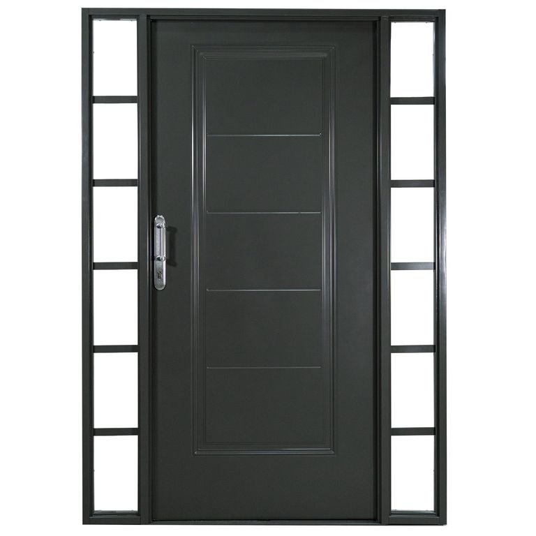 WINTEC - Kit Puerta Exterior Acero galvanizado 80x200 cm 5 Paneles