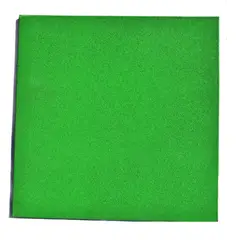 PLAYPLAZA - Palmeta Caucho EPDM 50x50x2.5 cm Verde Claro
