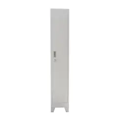 MOVILOCKERS - Locker Ensamblado 1 Cuerpo 1 Puerta(s) 1 Repisa(s) 29xx45 cm Gris Agata