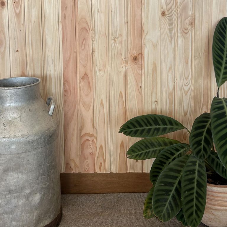 Madera Revestimiento Oregon 6 Unidades Natural 1.5 1.9x120