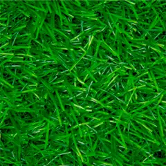 WINTER - Pasto Sintético Prado G20 20 mm 4x6 metros