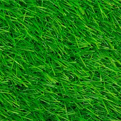 WINTER - Pasto Sintético Prado G30 30 mm 4x7 metros