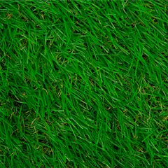 WINTER - Pasto Sintético Prado G35 35 mm 4x9 metros