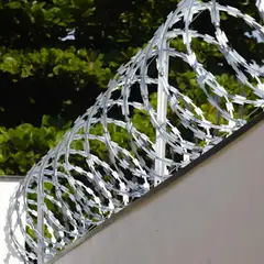 HOGA - Rollo Concertina Diámetro 20 cm con Candados 10 m