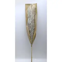 SOHOGAR - Ramo Lumonosa Natural Gris 90-100 Cm