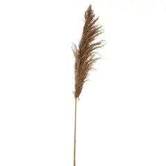 SOHOGAR - Vara de Pampas café 140 cm