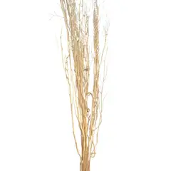 SOHOGAR - Vara Sauce preservado 100 cm