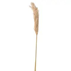 SOHOGAR - Vara de Pampas beige 140 cm