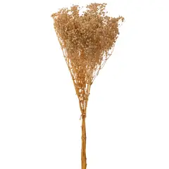 SOHOGAR - Ramo Gipso preservado 75 cm