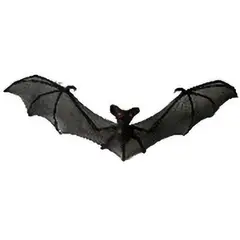 CARNAVAL - Murciélago de nylon negro