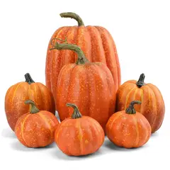 FRANK & MORTIS - Pack 7 Calabazas