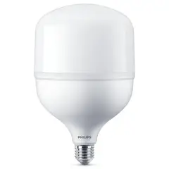 PHILIPS - Ampolleta Led E27 5000 lm Luz Fría