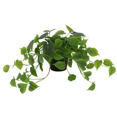 JUST HOME COLLECTION - Planta Artificial Pothus 40 cm Verde