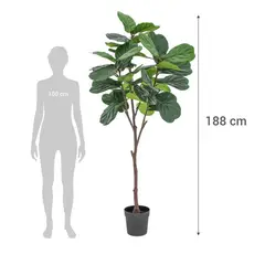 JUST HOME COLLECTION - Planta artificial Lyrata 188 cm