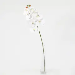 JUST HOME COLLECTION - Vara flor artificial orquidea blanca 78 cm