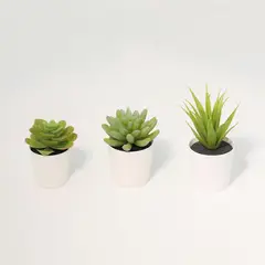 JUST HOME COLLECTION - Set 2 Suculentas Artificiales 14 cm Verde
