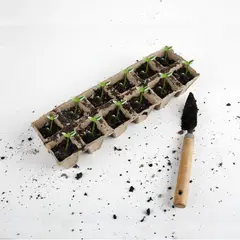 ERGO - Bandeja cultivo 12 cavidades 4x4 cm