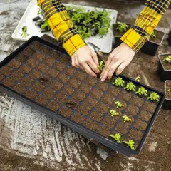 ERGO - Bandeja De Cultivo Semillero 72 Cavidades 53X27X5. 5 Cm