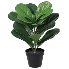 JUST HOME COLLECTION - Planta Artificial Ficus Lyrata 40 cm Verde