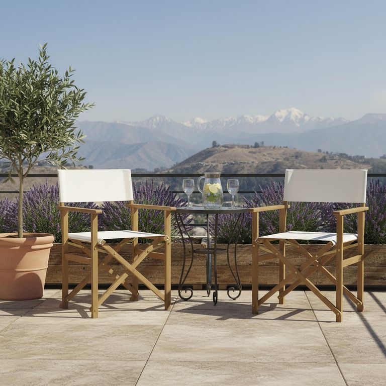 Set 2 Sillas para Terraza Madera Director Natural 88x53x56.5 cm