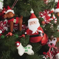 DEAR SANTA - Adorno Santa navidad 16 cm pet glam