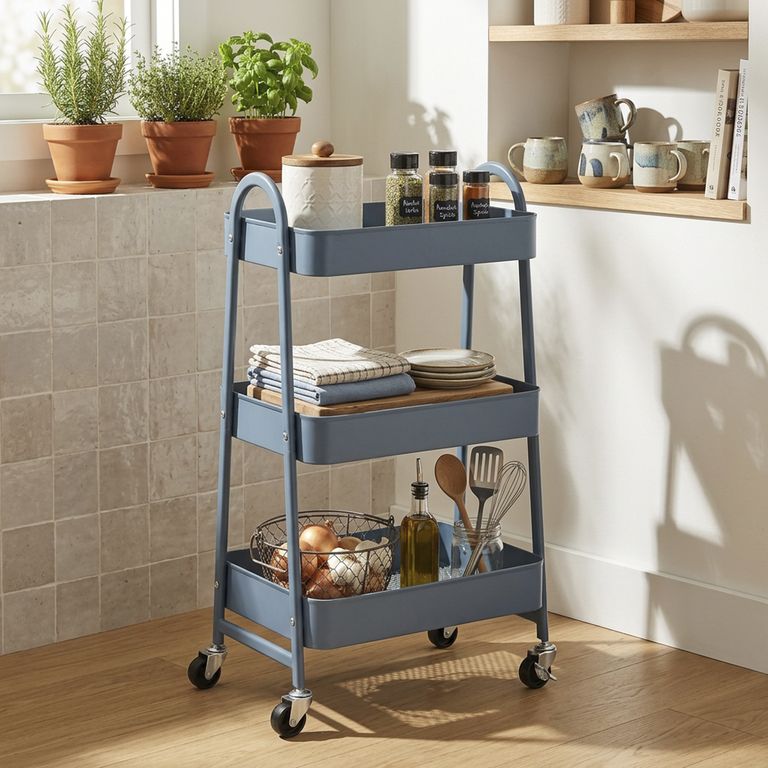 Carrito multiuso con rueda azul
