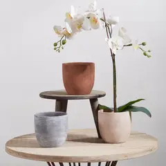 JUST HOME COLLECTION - Macetero de Greda 14x14 cm Colores Surtidos