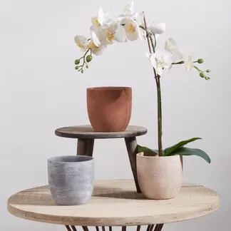 JUST HOME COLLECTION - Macetero de Greda 14x14 cm Colores Surtidos