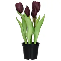 JUST HOME COLLECTION - Tulipan morado 26 cm