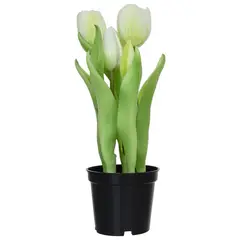 JUST HOME COLLECTION - Tulipan blanco 8 cm Blanco