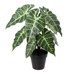 JUST HOME COLLECTION - PLANTA ARTIFICIAL ALOCASIA 40 cm Verde