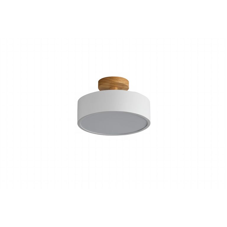 Lampara techo Sparti 1l E27 blanco
