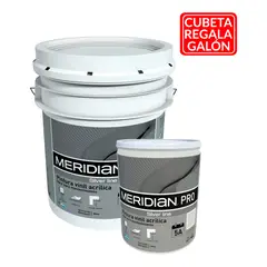 MERIDIAN PRO - Combo Pintura vinílica Meridian Cubeta regala galón