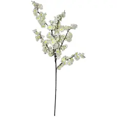 Rosedal - Flor de durazno crema