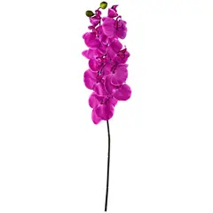 Rosedal - Orquídea morada