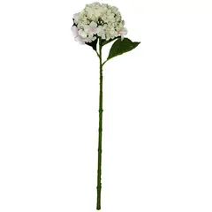 Rosedal - Vara de hortensia crema
