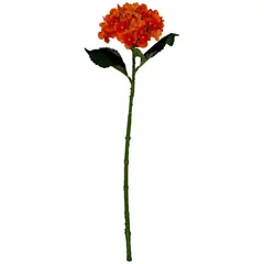 Rosedal - Vara de hortensia naranja