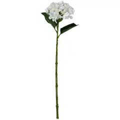 Rosedal - Vara de hortensia blanca