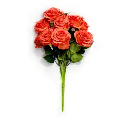 Rosedal - Ramo de 9 rosas naranjas