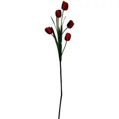 Rosedal - Vara de tulipán rojo