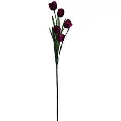 Rosedal - Vara de tulipán morado