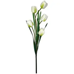 Rosedal - Vara de tulipán crema