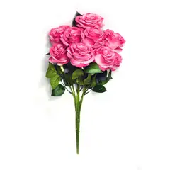 Rosedal - Ramo de 9 rosas fucsia