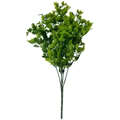 Rosedal - Ramo de follaje tipo perejil