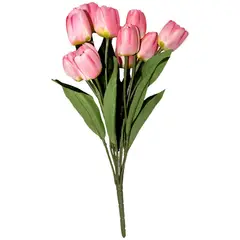 Rosedal - Ramo de 11 tulipanes rosa