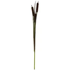 Rosedal - Typha color Café