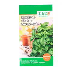 Ergo - Semillas de albahaca grande verde
