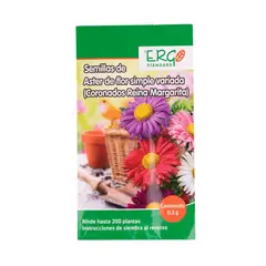 Ergo - Semillas de aster flor simple variada