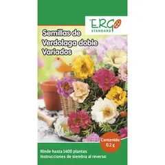 Ergo - Semillas de verdolaga doble variada