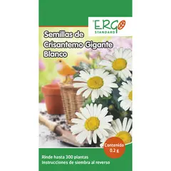Ergo - Semillas de crisantemo gigante blanco